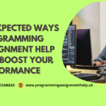 Programming Assignment Help