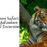 Ranthambore Safari Physical Adventure vs. Digital Excursion