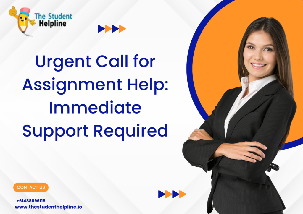 urgent assignment help