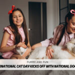 Furry and Fun International Cat Day Kicks Off with National Dog Day