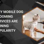 Why Mobile Dog Grooming Services Are Gaining Popularity